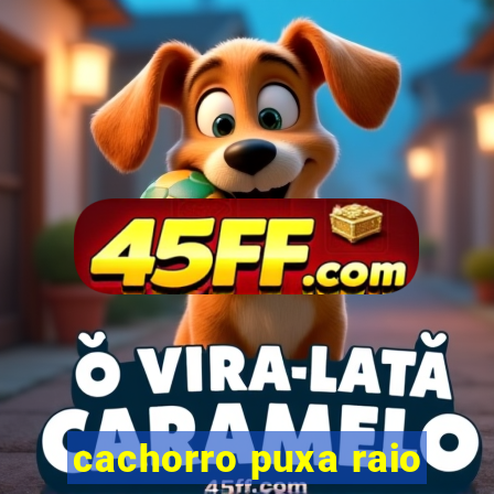 cachorro puxa raio